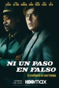 Ni un paso en falso [Spanish]